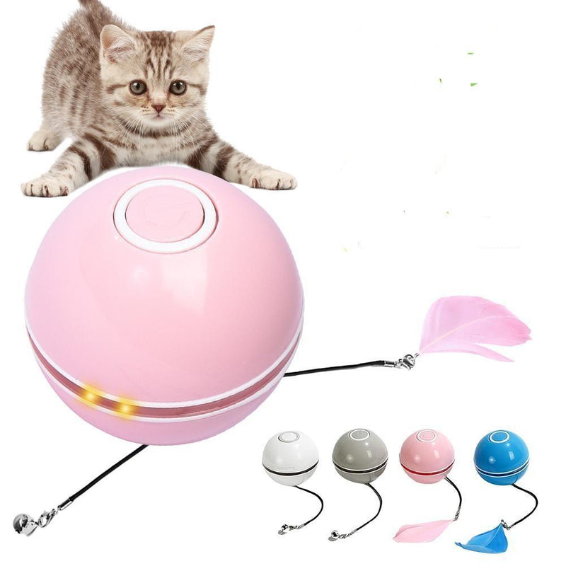 Moonbi-Interactive Cat Toy